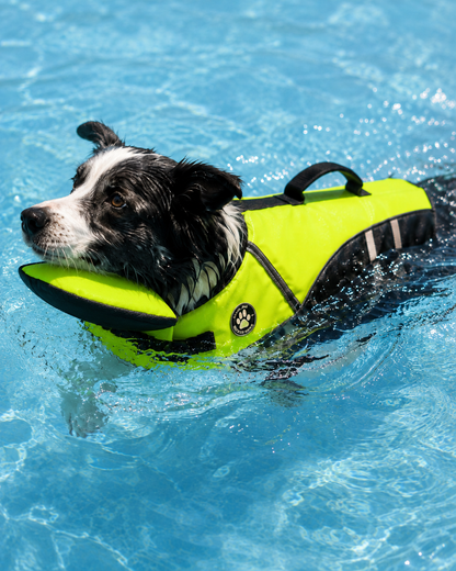 AquaPawz™ Dog Life Jacket